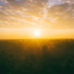 R某カンパニー　52日目の日記